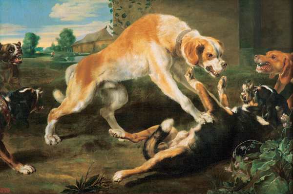 Pauwel 'Paul' De Vos - Dogs Fighting, 1620